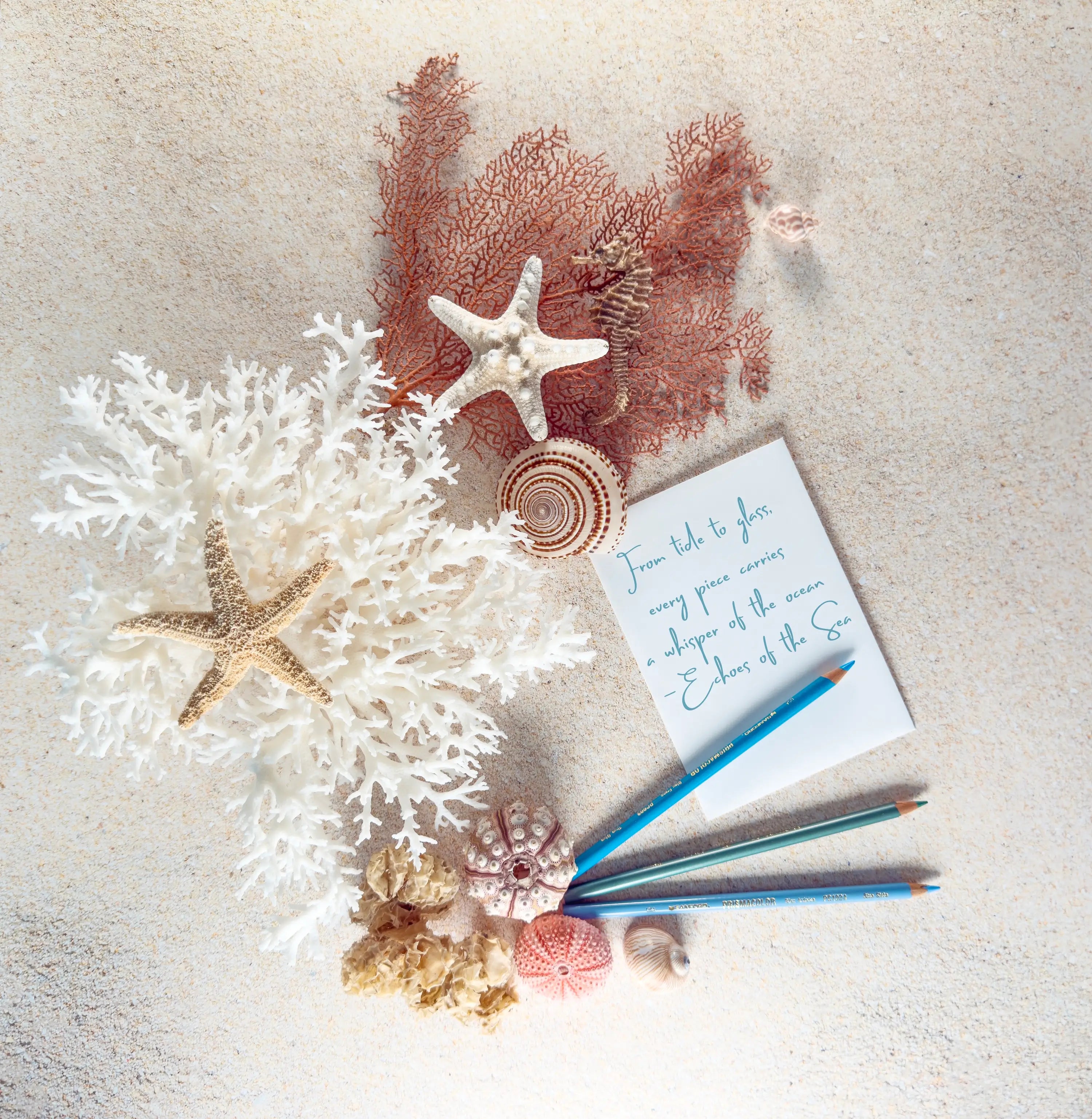 Flat lay of shells, coral, and handwritten note reading “From tide to glass, every piece carries a whisper of the ocean — Echoes of the Sea.” Coastal art inspiration by Echoes of the Sea.