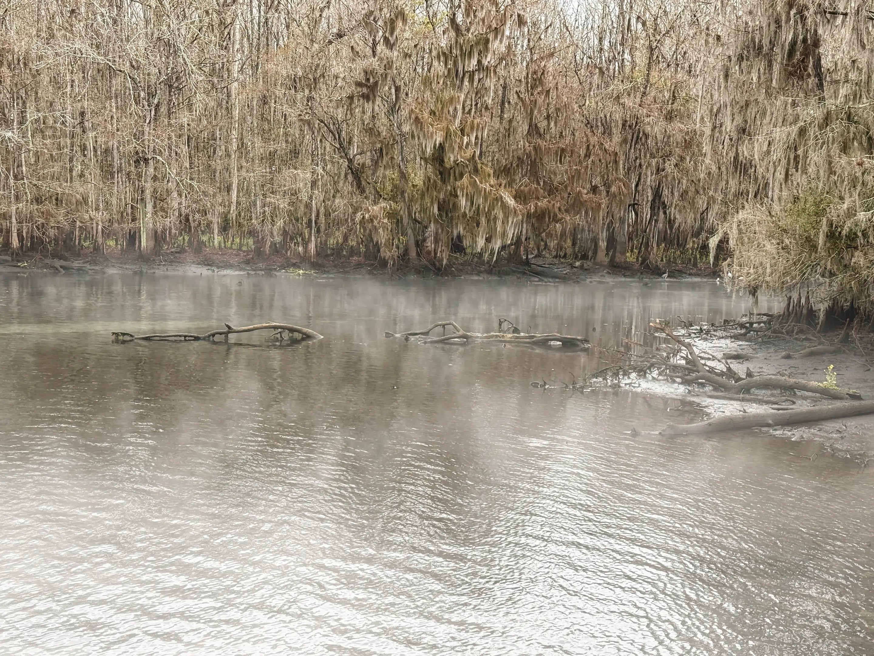 Manatee Springs State Park on a misty cold morning