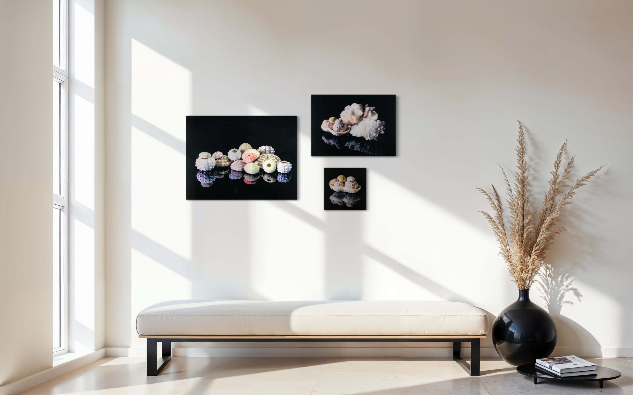 Colorful sea urchins wall gallery in a sunny alcove