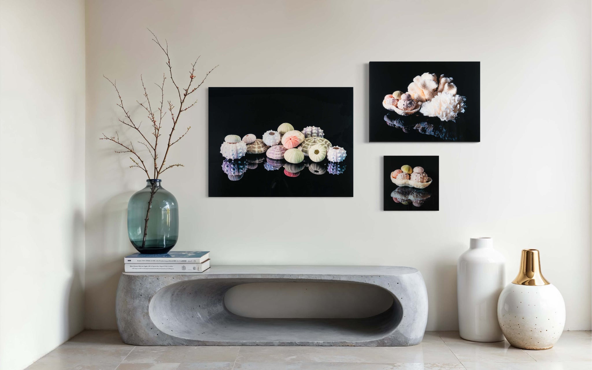 Colorful Sea Urchin Wall curated wall gallery in a modern style setting