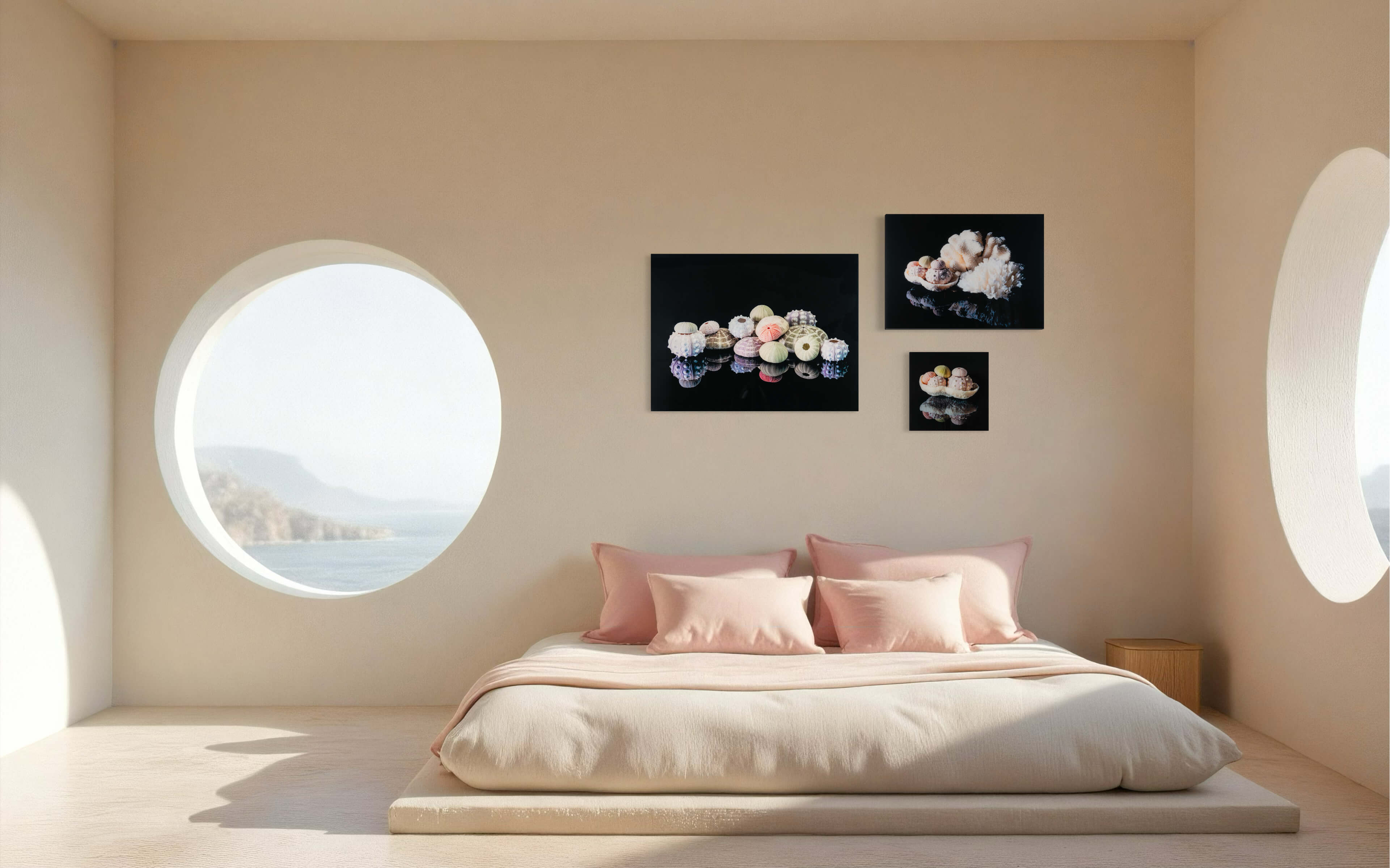 Gallery wall of colorful sea urchins in a coastal bedroom