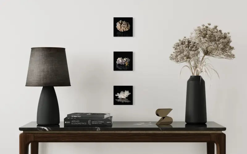 Glass print of pink barnacles, white and golden starfish on black background displayed with 2 other Echoes mini prints
