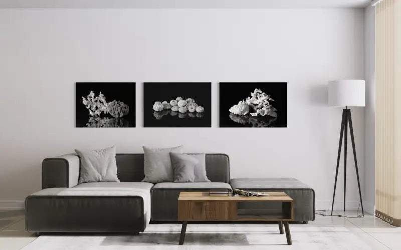 Black and white coral coastal glass print, Echoes of the Sea art-gallery wall with 3 Echoes Prints