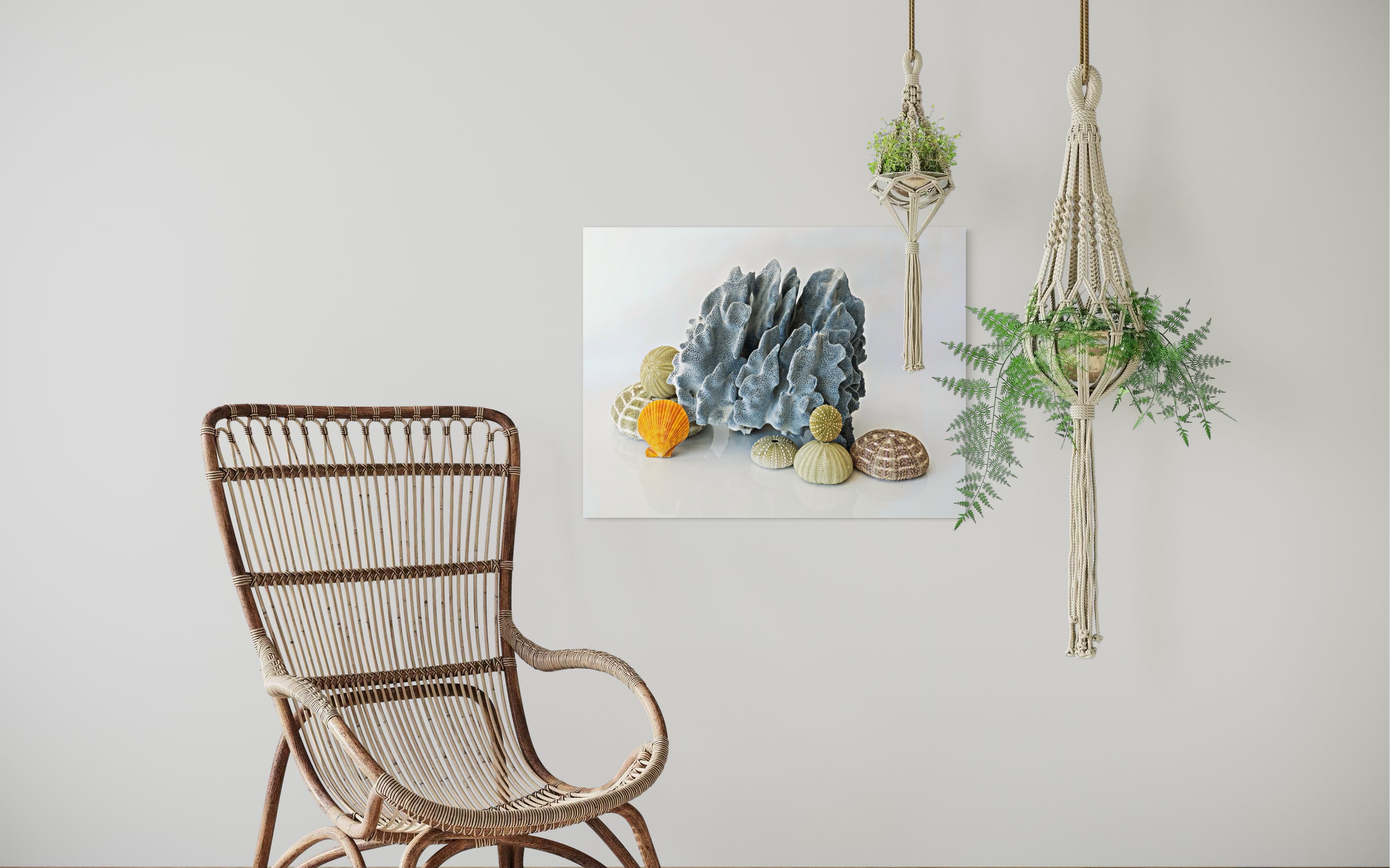 Blue Coral and Sea Urchins Coastal Glass Print by Echoes of the Sea, botanical elegance