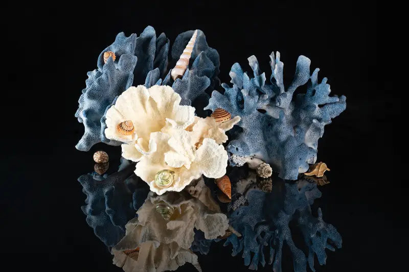 Blue Coral & Seashell Glass Print with vibrant seashells and Poca coral on reflective black background