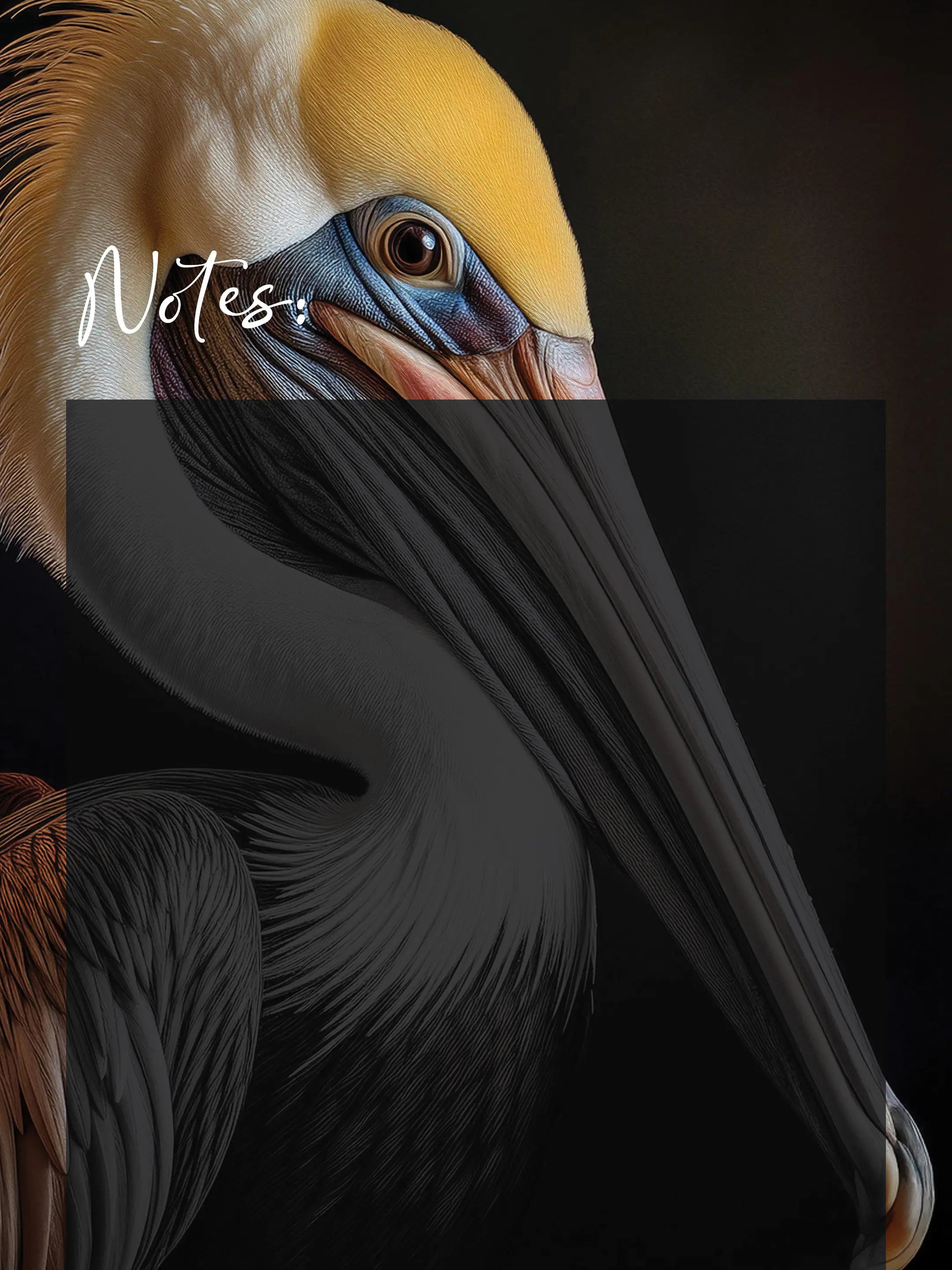 Brown Pelican Glass Notes Board - Dry-Erase Planner