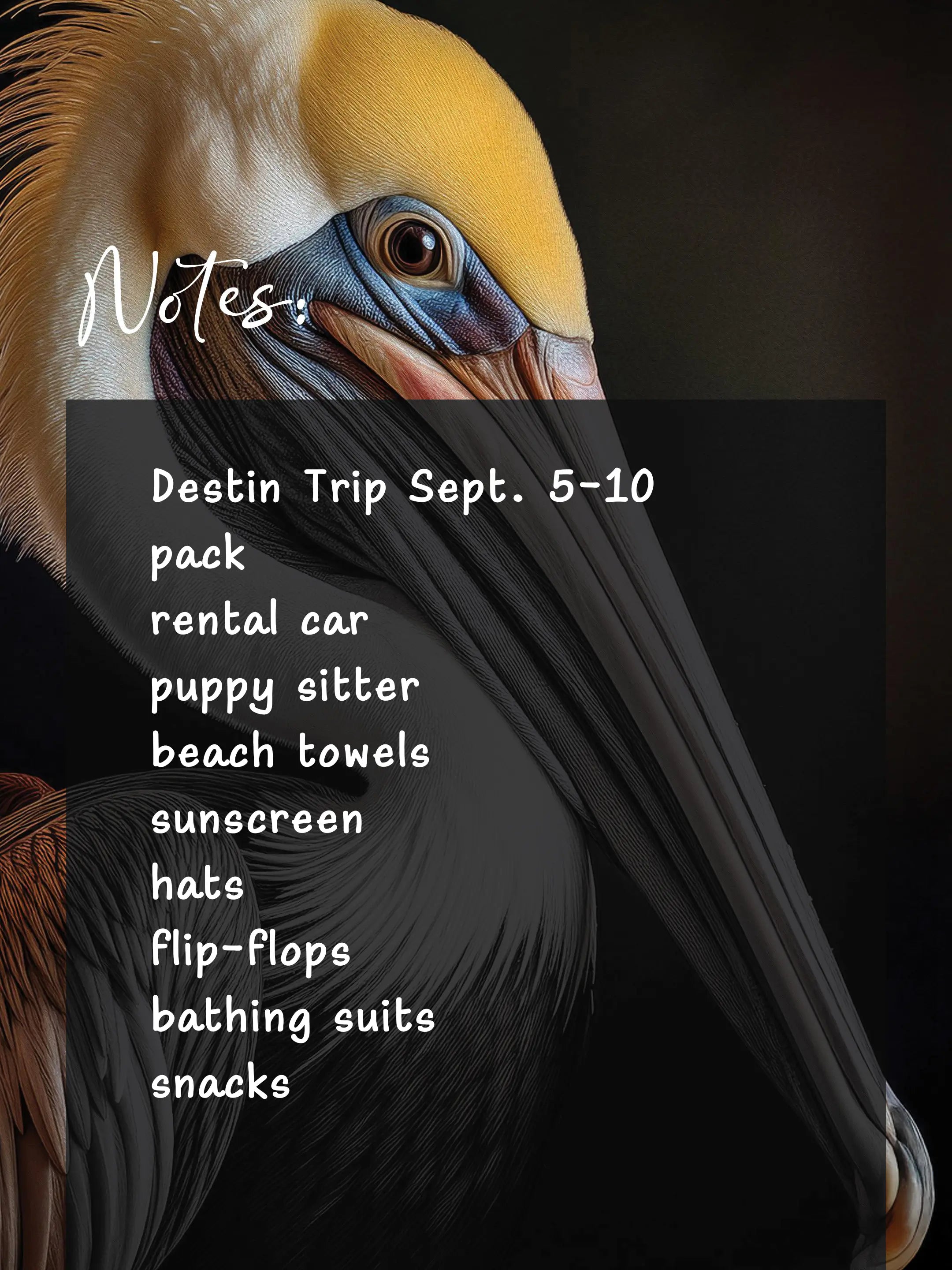 Brown Pelican Glass Notes Board - Dry-Erase Planner