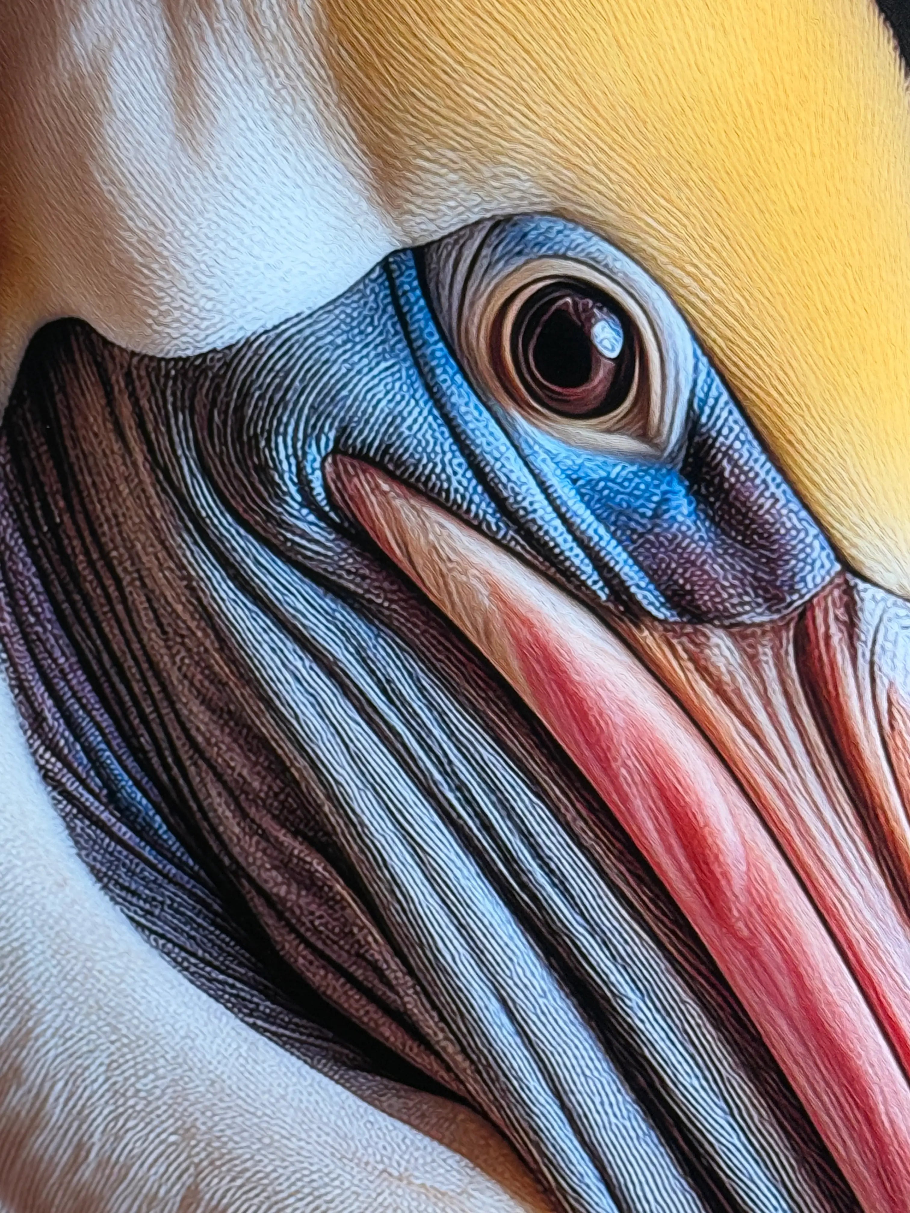Close-up of a pelican's eye and beak with detailed feather textures.