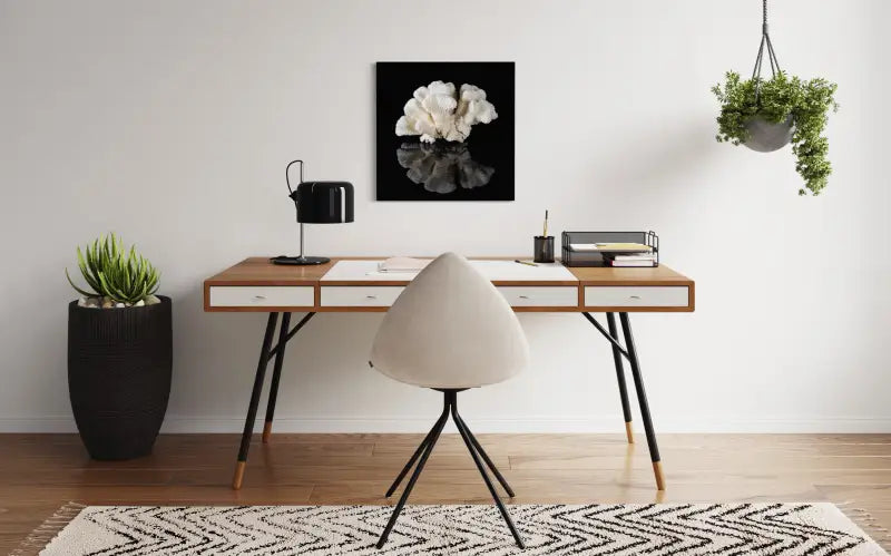Cauliflower coral on black reflective glass, Echoes art displayed above desk.