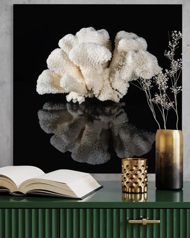 Cauliflower coral on black reflective glass, Echoes art-wall decor for elegant nook