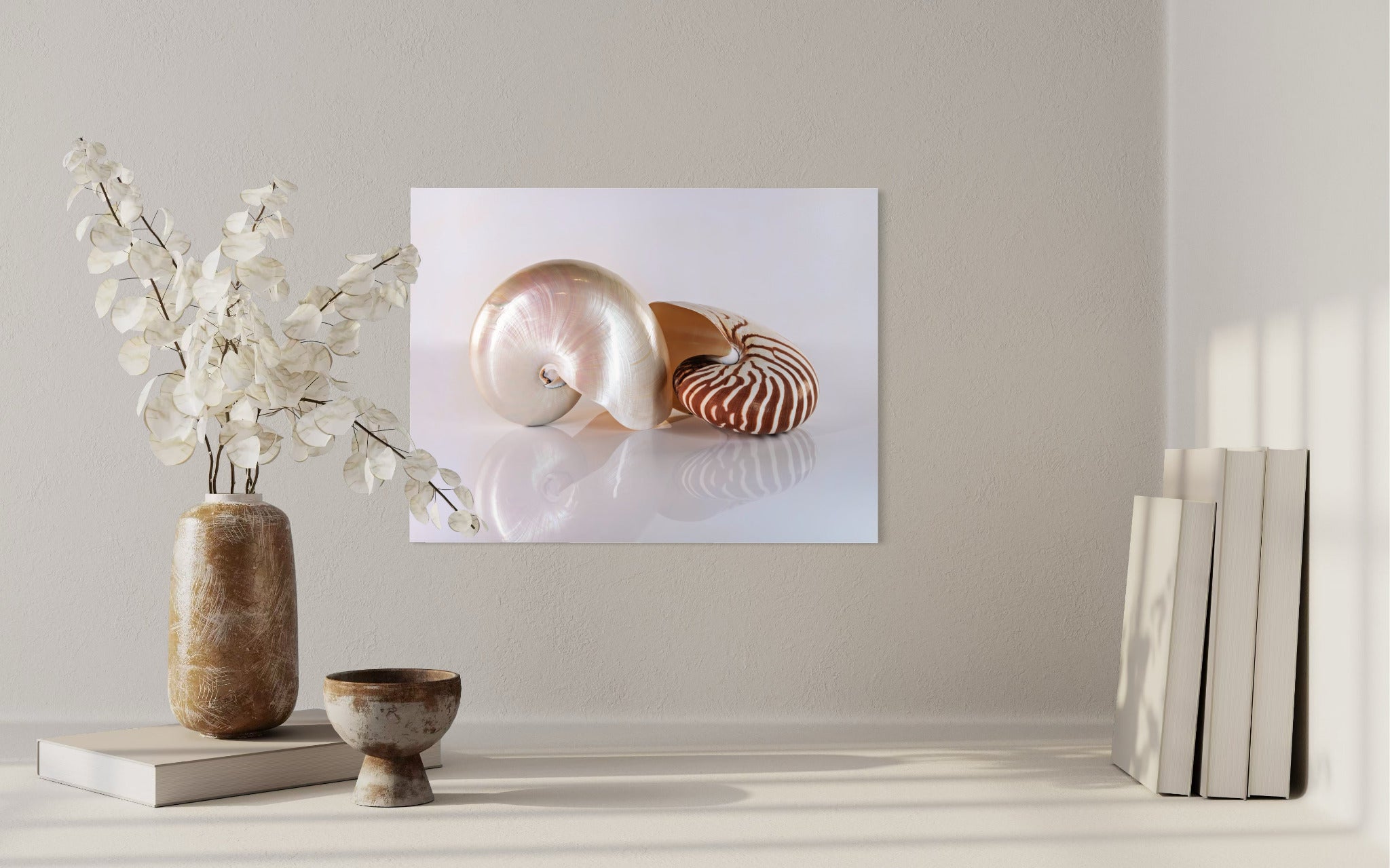 Wall decor of glass print of two chambered nautilus shells on a reflective surface: one revealing pearlescent interiors and one the striped exterior