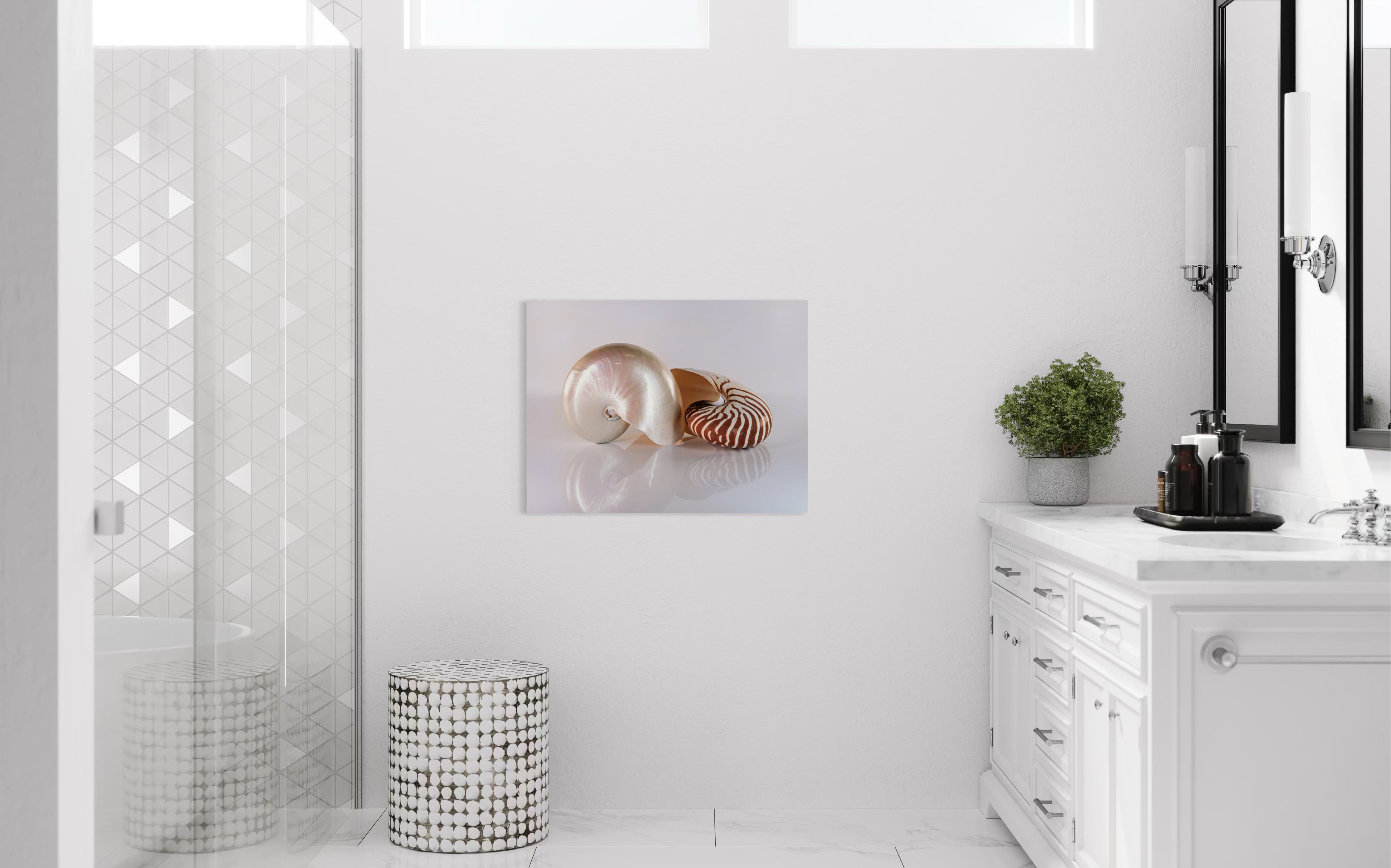 Modern bathroom wall decor: glass print of two chambered nautilus shells on reflective surface above white vanity with plant and stool.