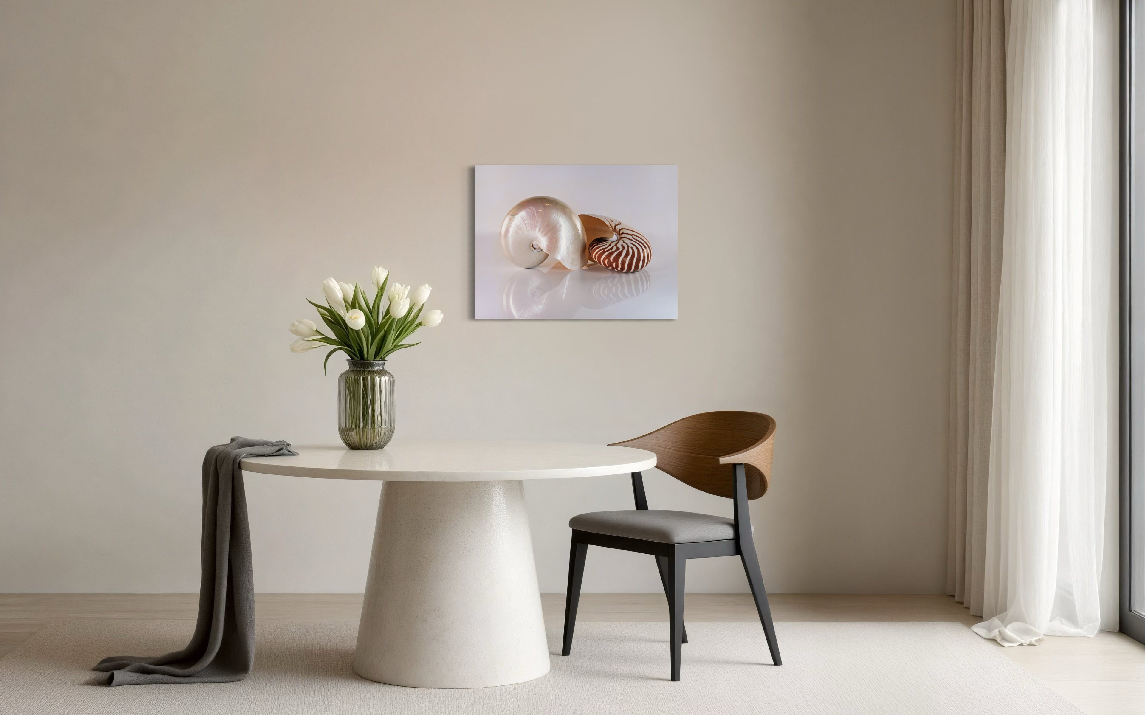 Glass print of two nautilus shells: one pearlescent, one striped, on a reflective surface-dining room