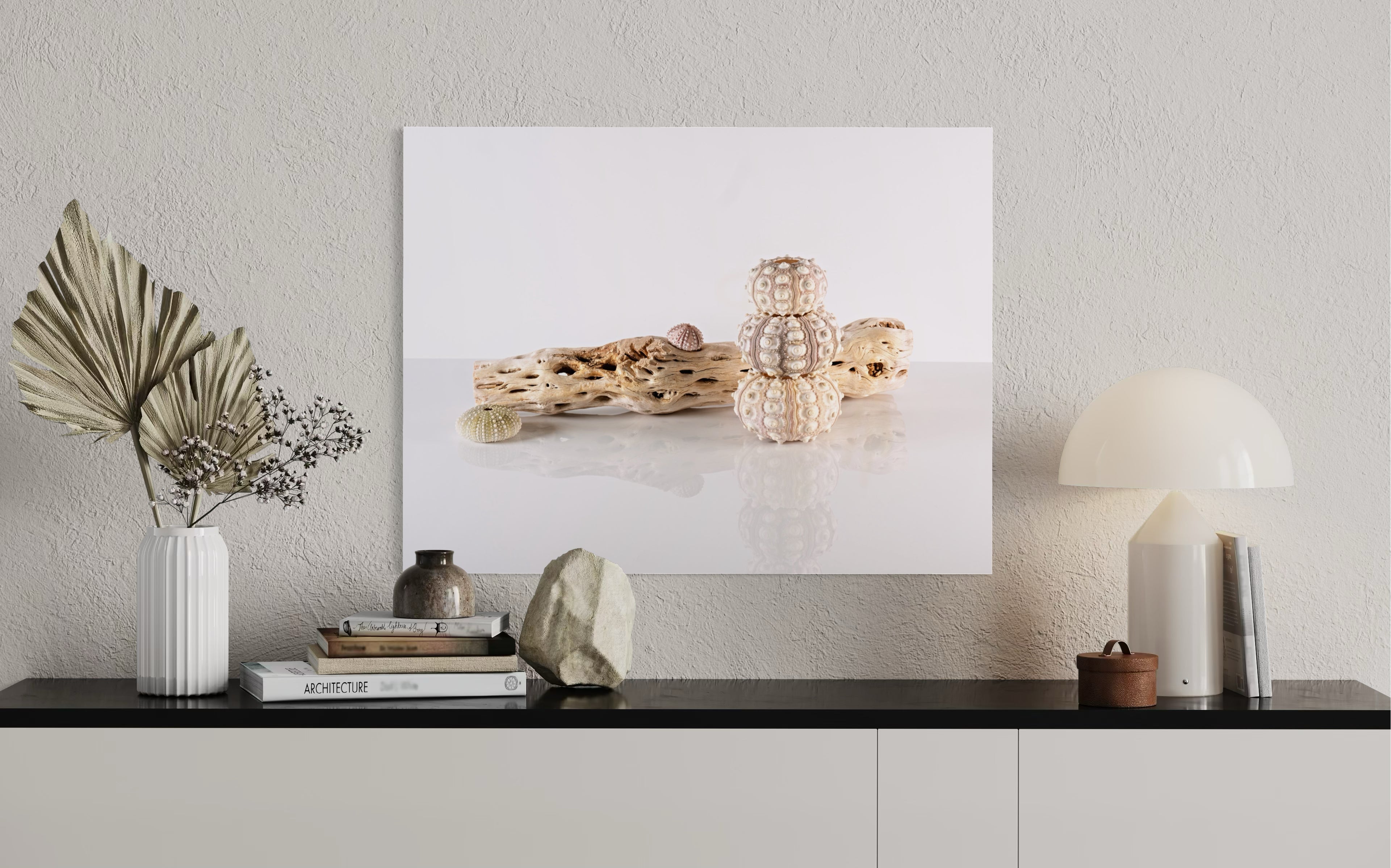 Cholla Driftwood and Sea Urchins Coastal Glass Print by Echoes of the Sea, above a side table