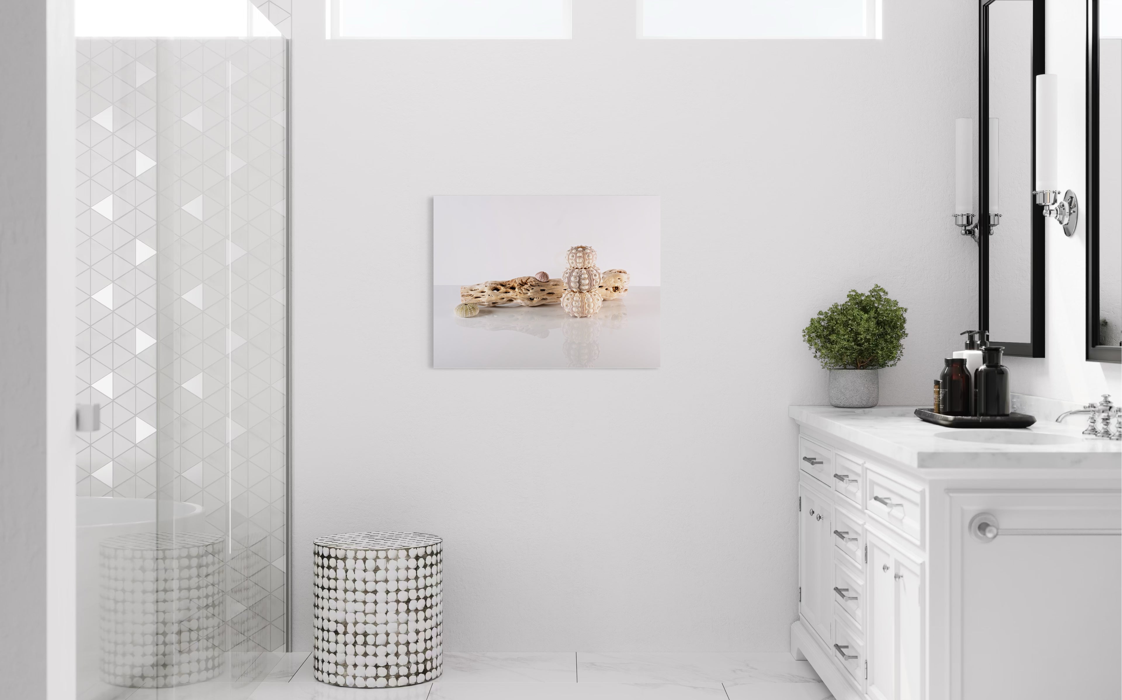 Cholla Driftwood and Sea Urchins Coastal Glass Print by Echoes of the Sea, bathroom wall decor