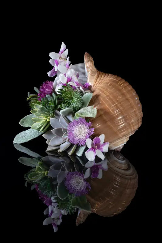 Ocean wall art glass print with tunna shell, succulents, and purple orchids on black background, coastal decor