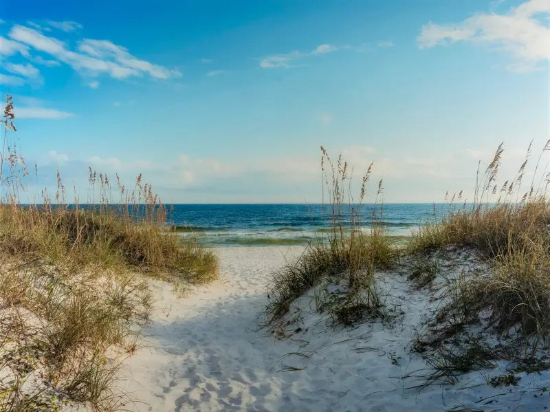 A glass print featuring a pathway winding through white sand dunes with sea oats, leading to a calm ocean horizon
