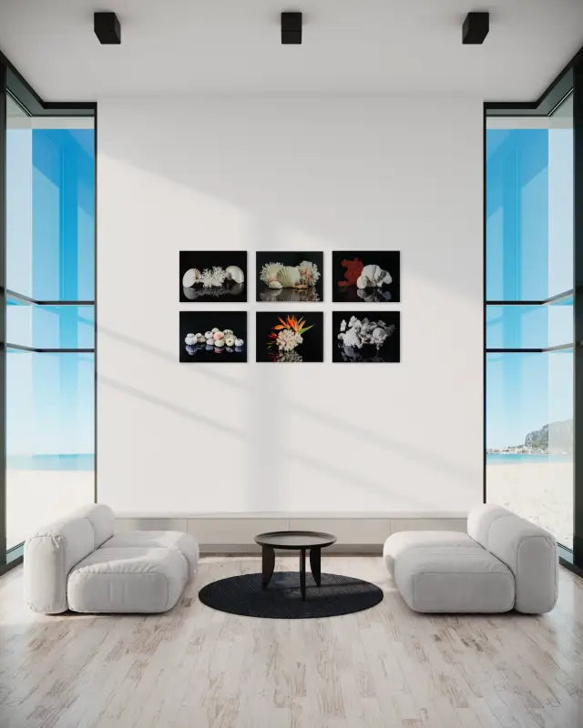 Nautilus shells and coral on reflective black, coastal glass print wall gallery
