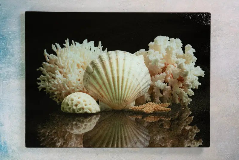Scallops and coral on glass charcuterie board, Echoes of the Sea