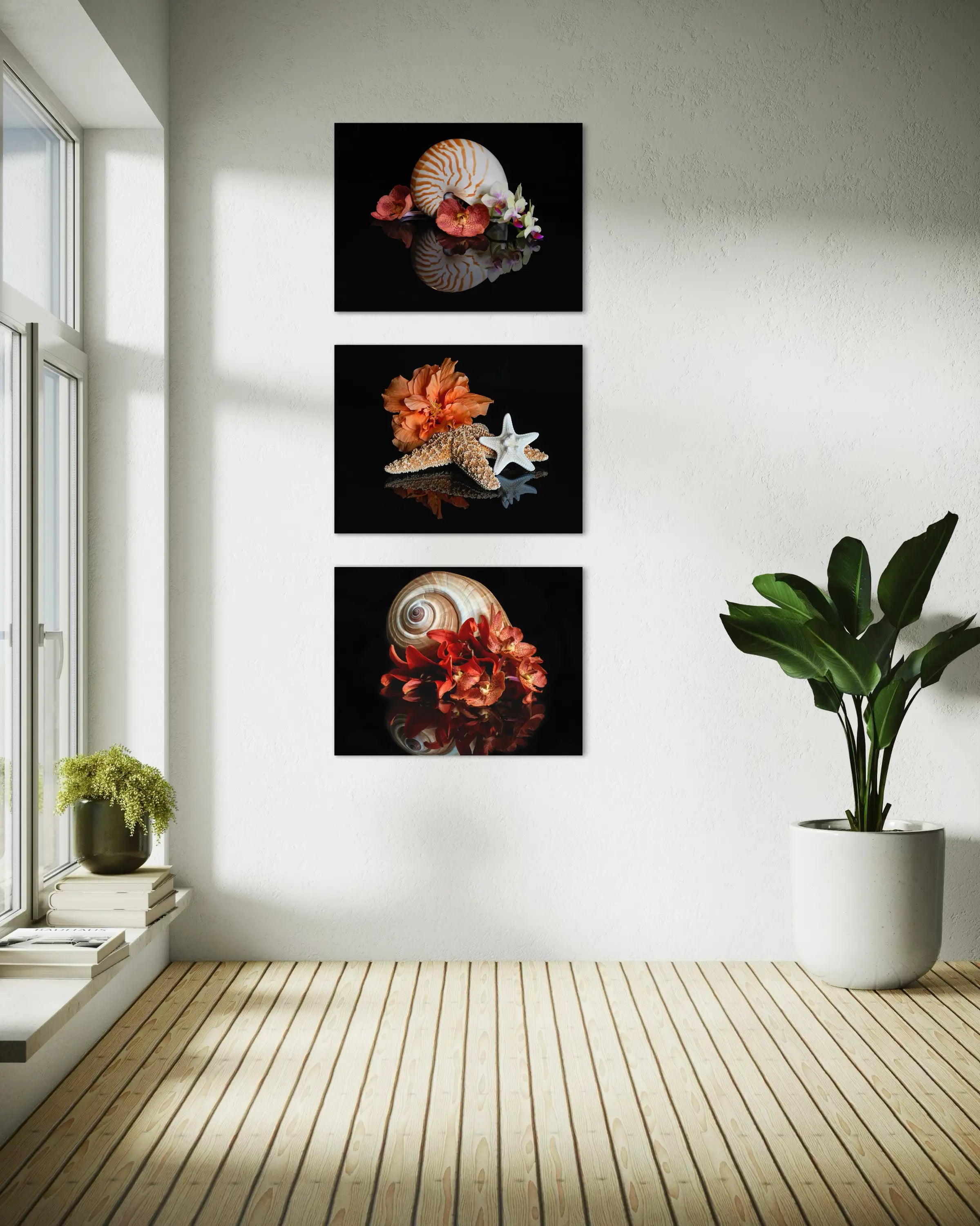 Coastal glass print of a chambered nautilus with deep orange orchids on black reflective surface with 2 matching prints