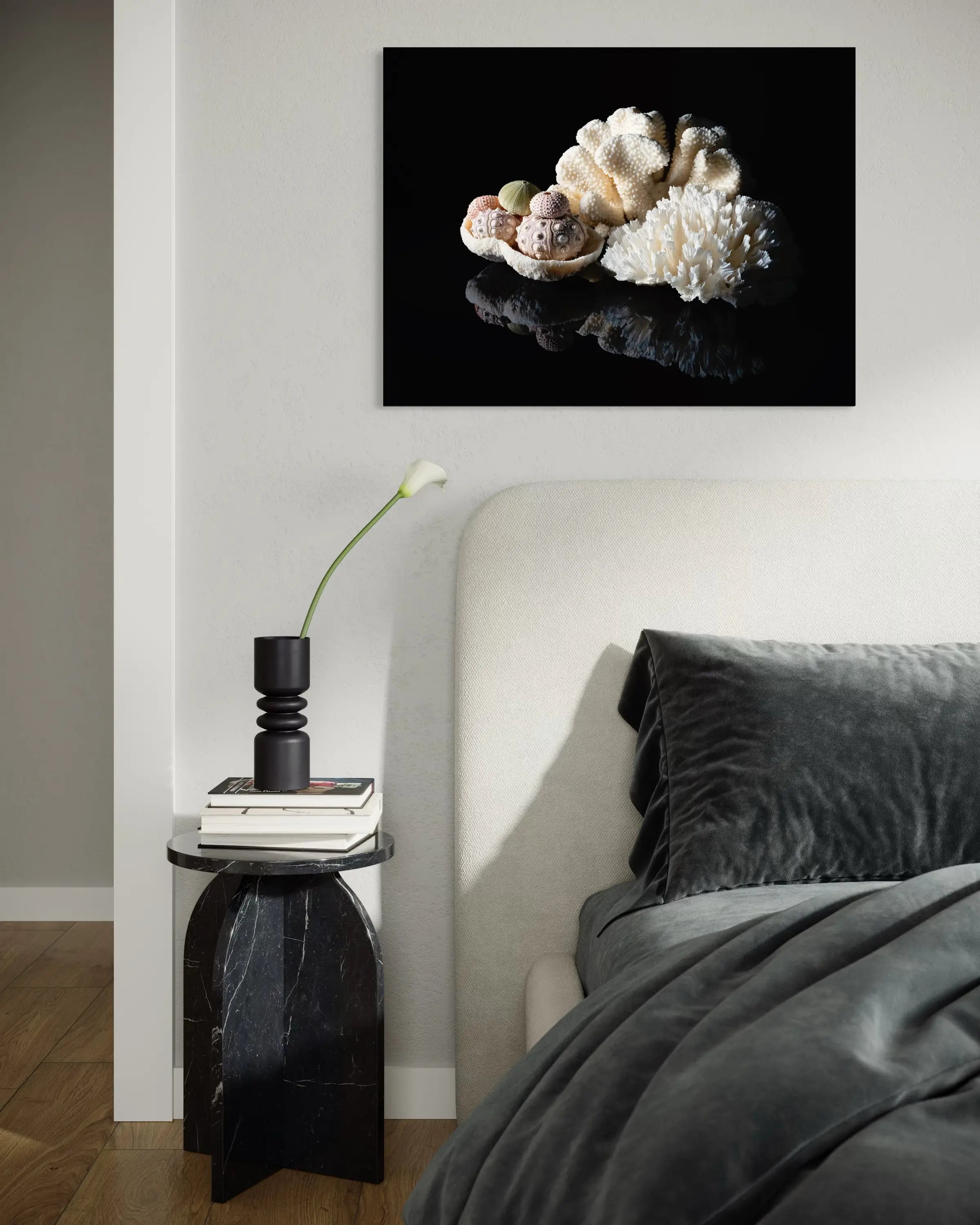 Vintage coral and sea urchins on reflective glass, coastal art, coastal bedroom