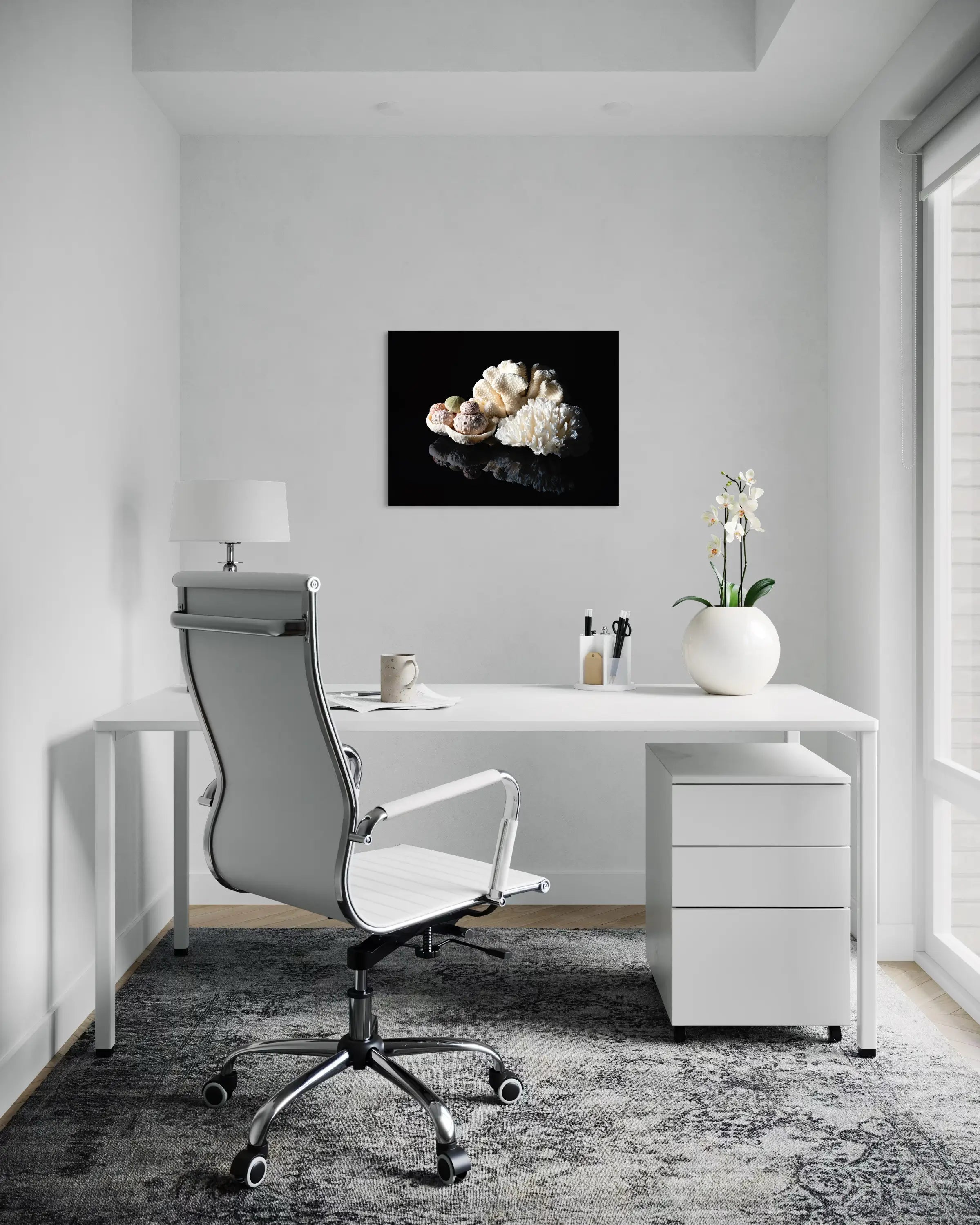 Vintage coral and sea urchins on reflective glass, coastal art, coastal office decor