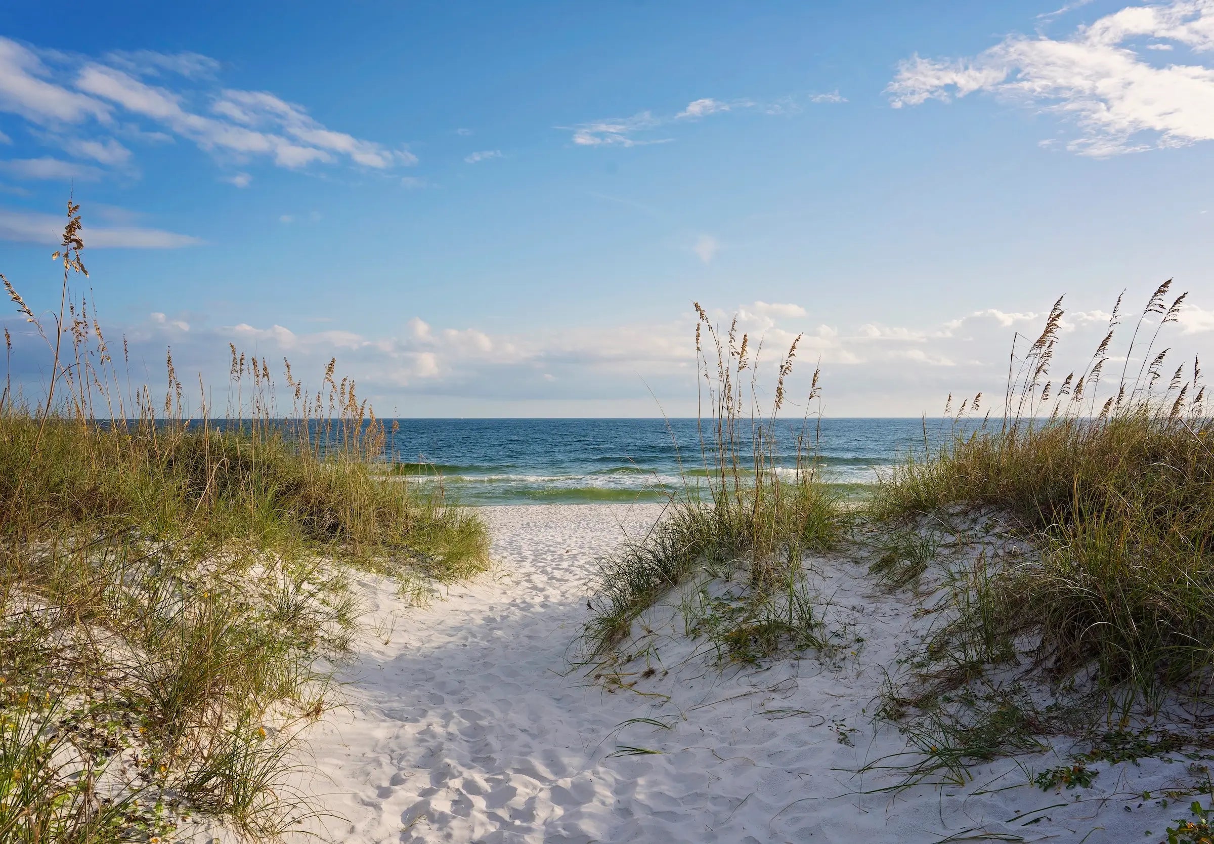 Sandy dunes and sea oats with Gulf waters, coastal glass art