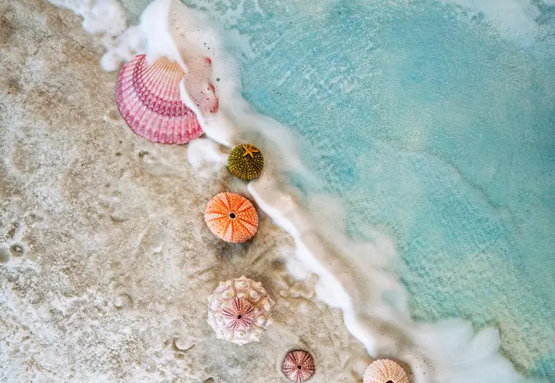 Vibrant seashells and ocean waves on a beach, Echoes of the Sea coastal glass art print