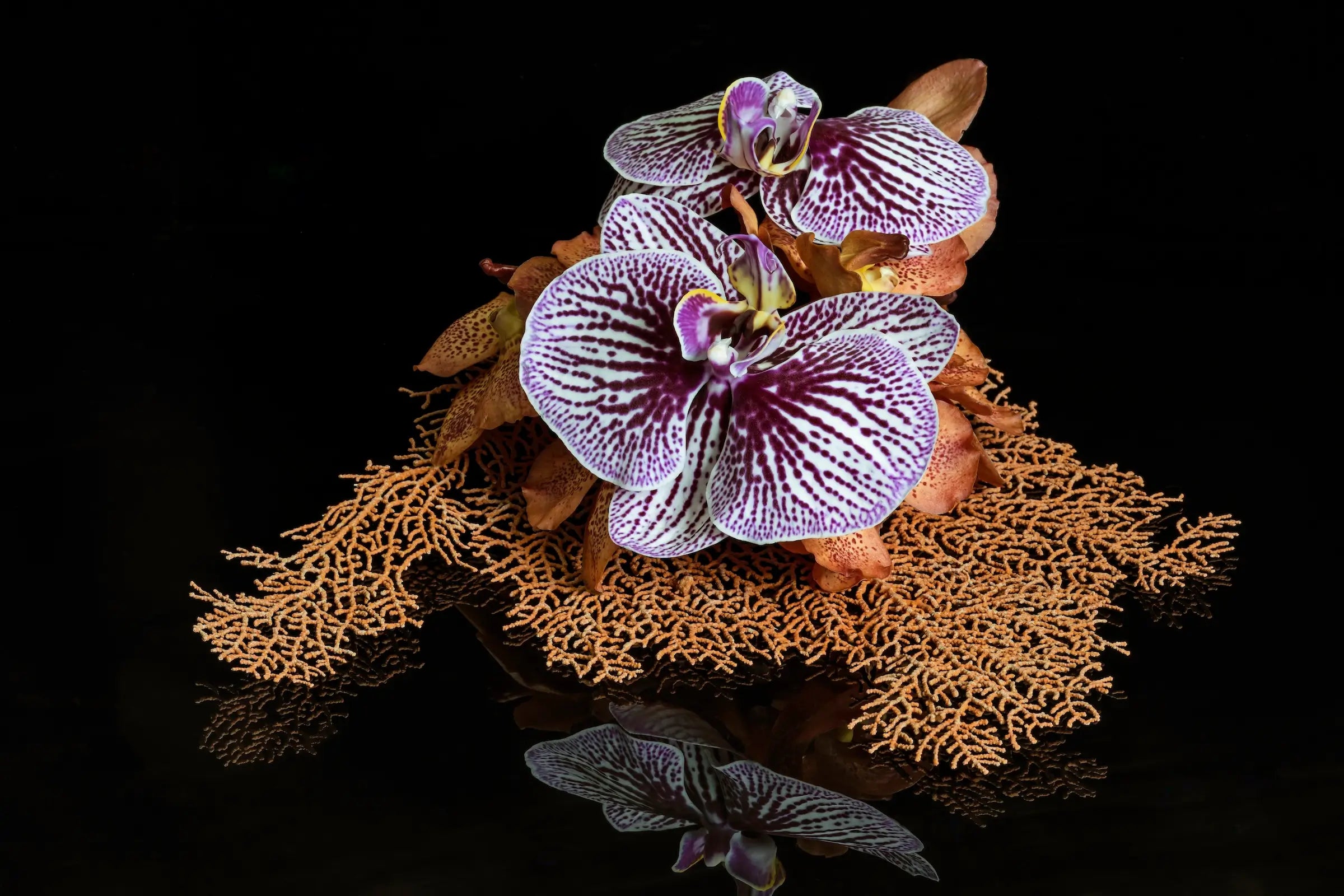 Eco-friendly Coastal Sea Fan Orchid Glass Print with vibrant orchids on a delicate sea fan, USA-made, UV-ink printed for stunning detail.