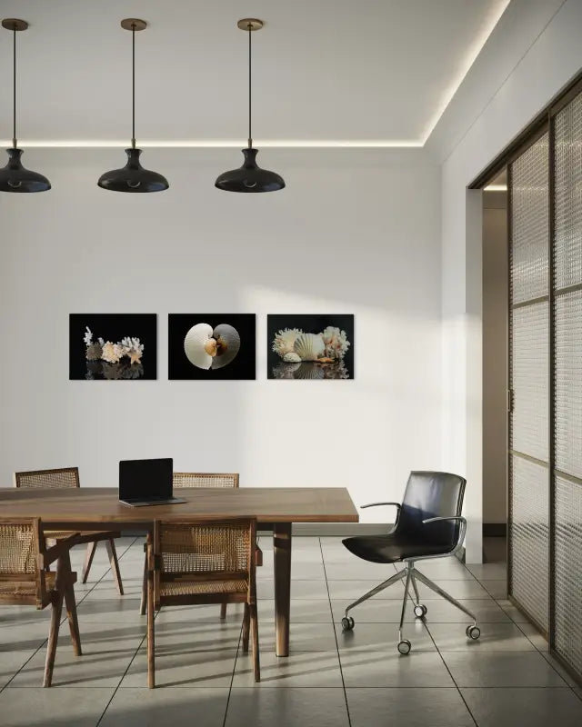 Coastal Treasures Glass Print with marine life on reflective black background, Echoes of the Sea in office wall gallery