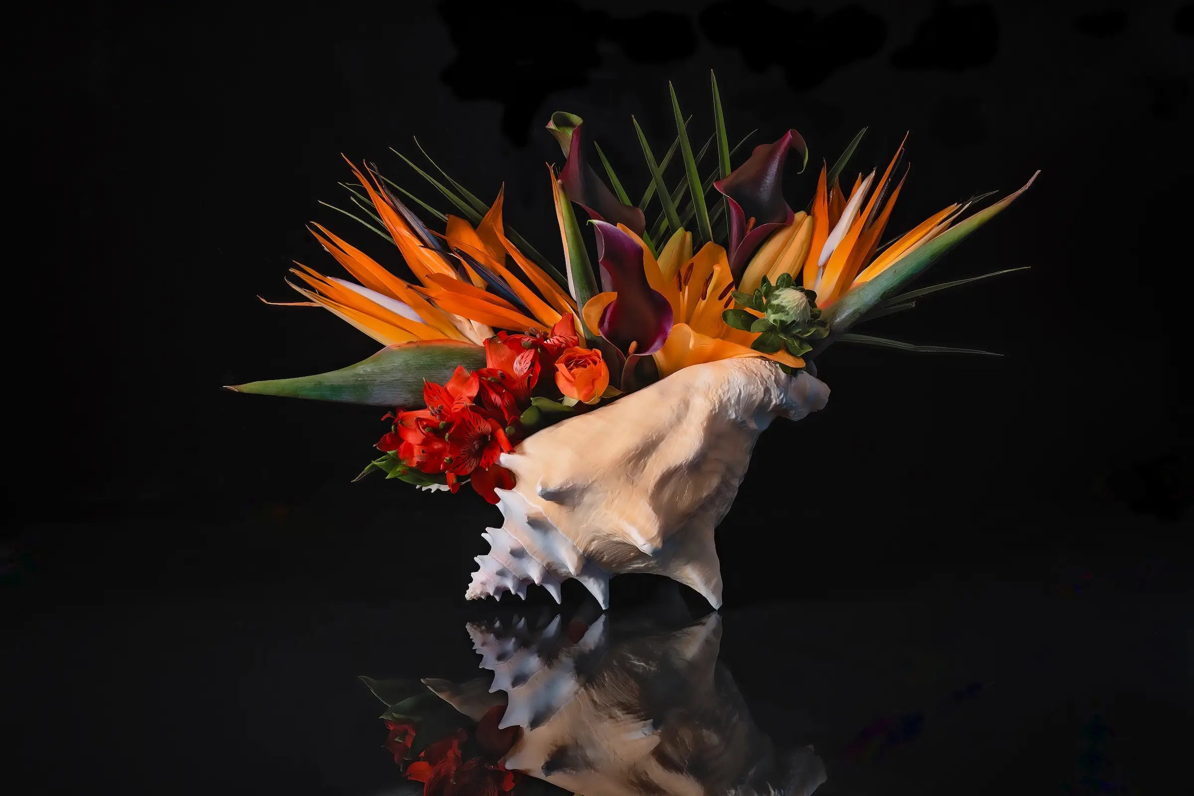 Coastal glass print with conch shell and Birds of Paradise on black background