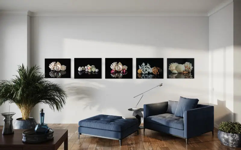 Coral and Pearl Nautilus on black reflective background coastal glass print-wall gallery