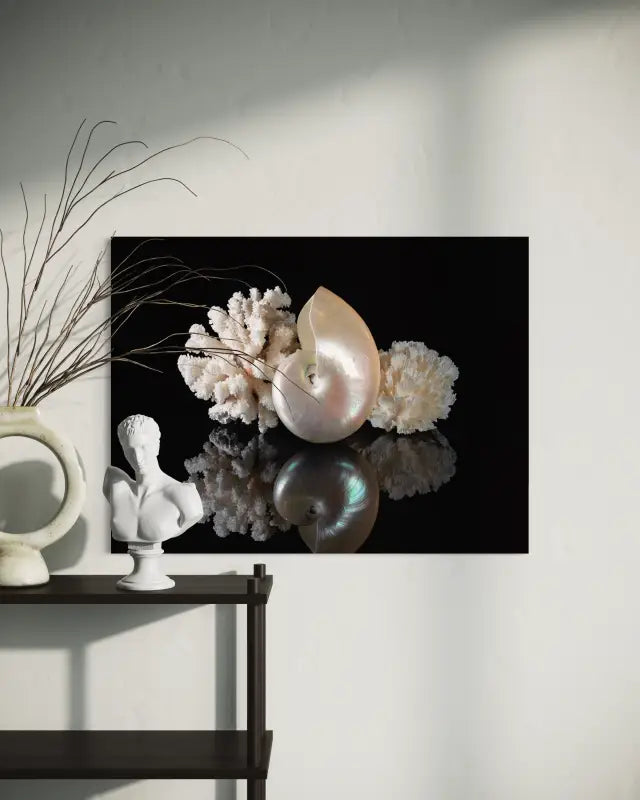 Coral and Pearl Nautilus on black reflective background coastal glass print-wall decor