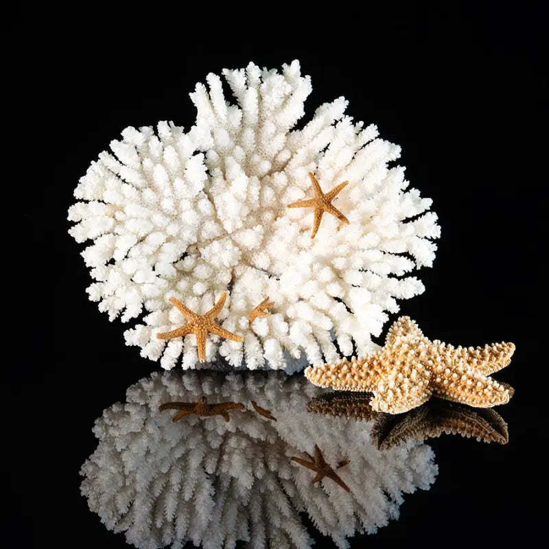 Coastal glass print of white coral and golden starfish on black background