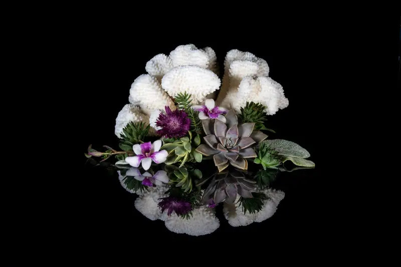 A glass print of cauliflower coral and succulents on black background, botanical elegance at it's best.