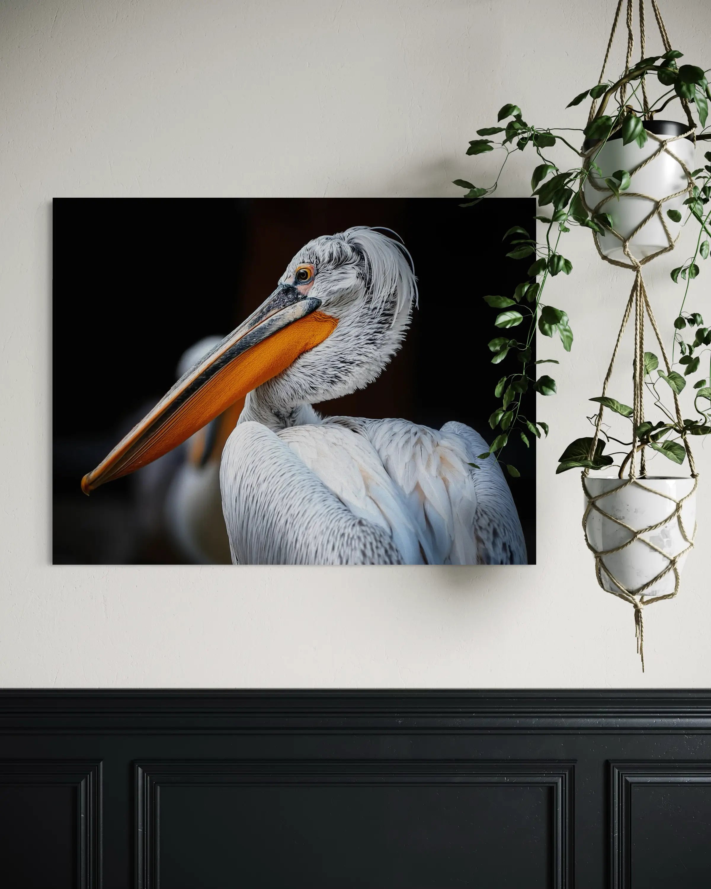 Close-up of a Dalmatian pelican with vibrant orange beak and speckled feathers, set against a black background.