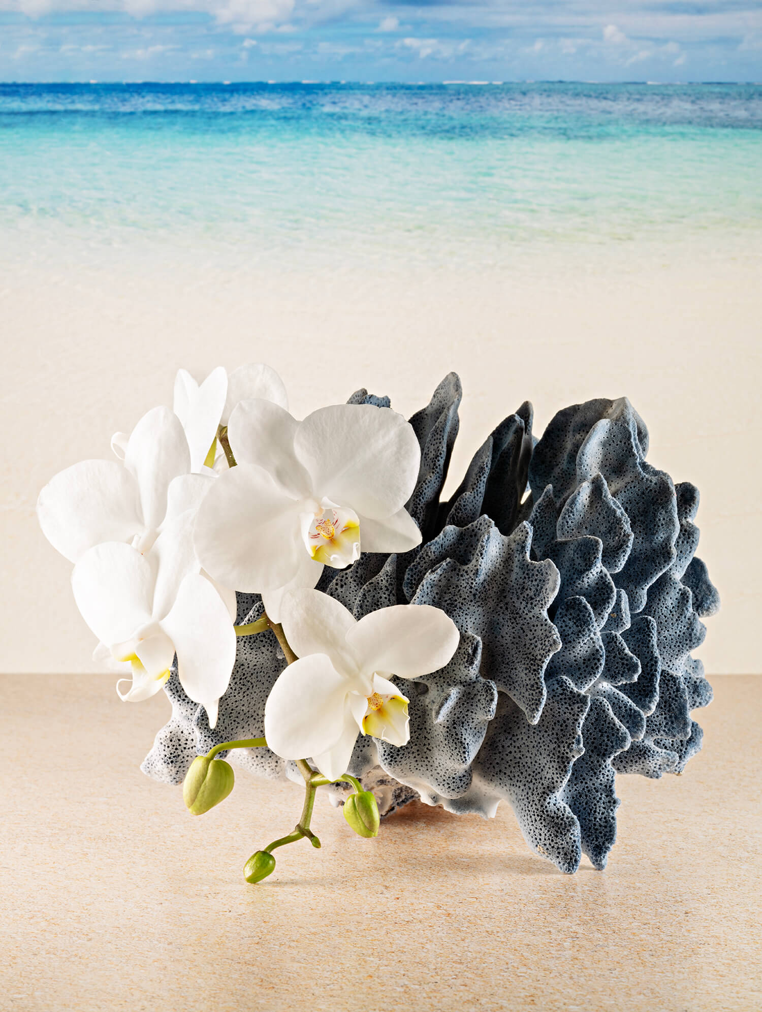 Frameless coastal glass print with blue coral and white orchids against a serene beach scene