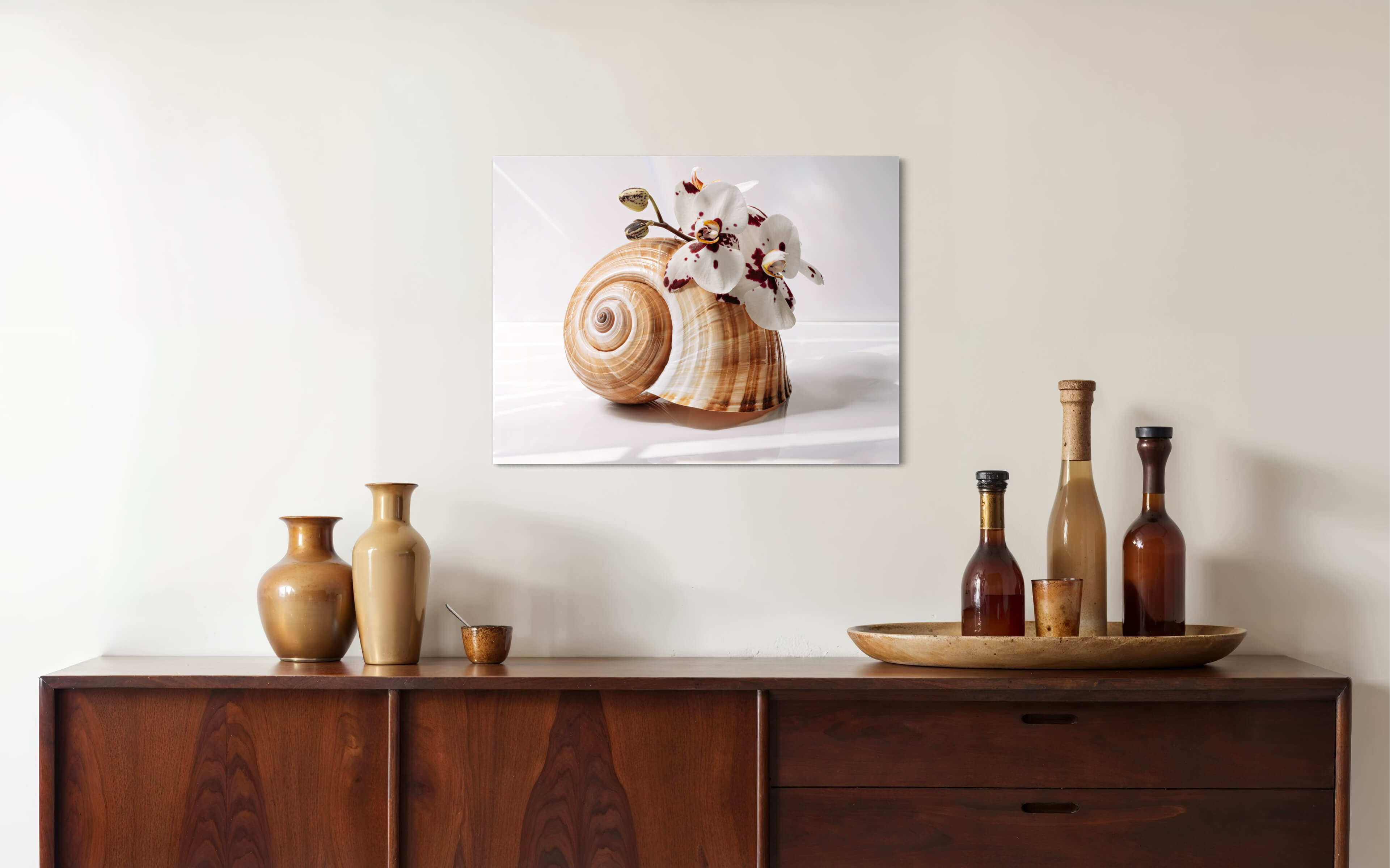 Eco-friendly coastal glass print: giant tun shell and white orchids_dining room decor