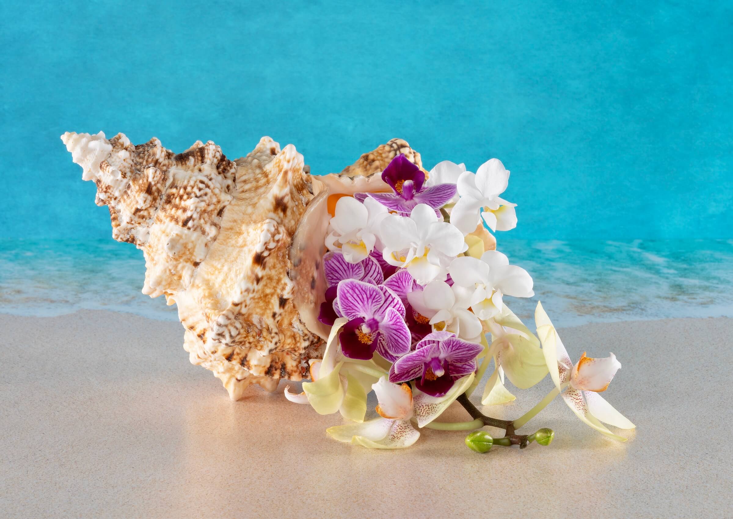 Eco-friendly coastal glass print with seashell and orchids