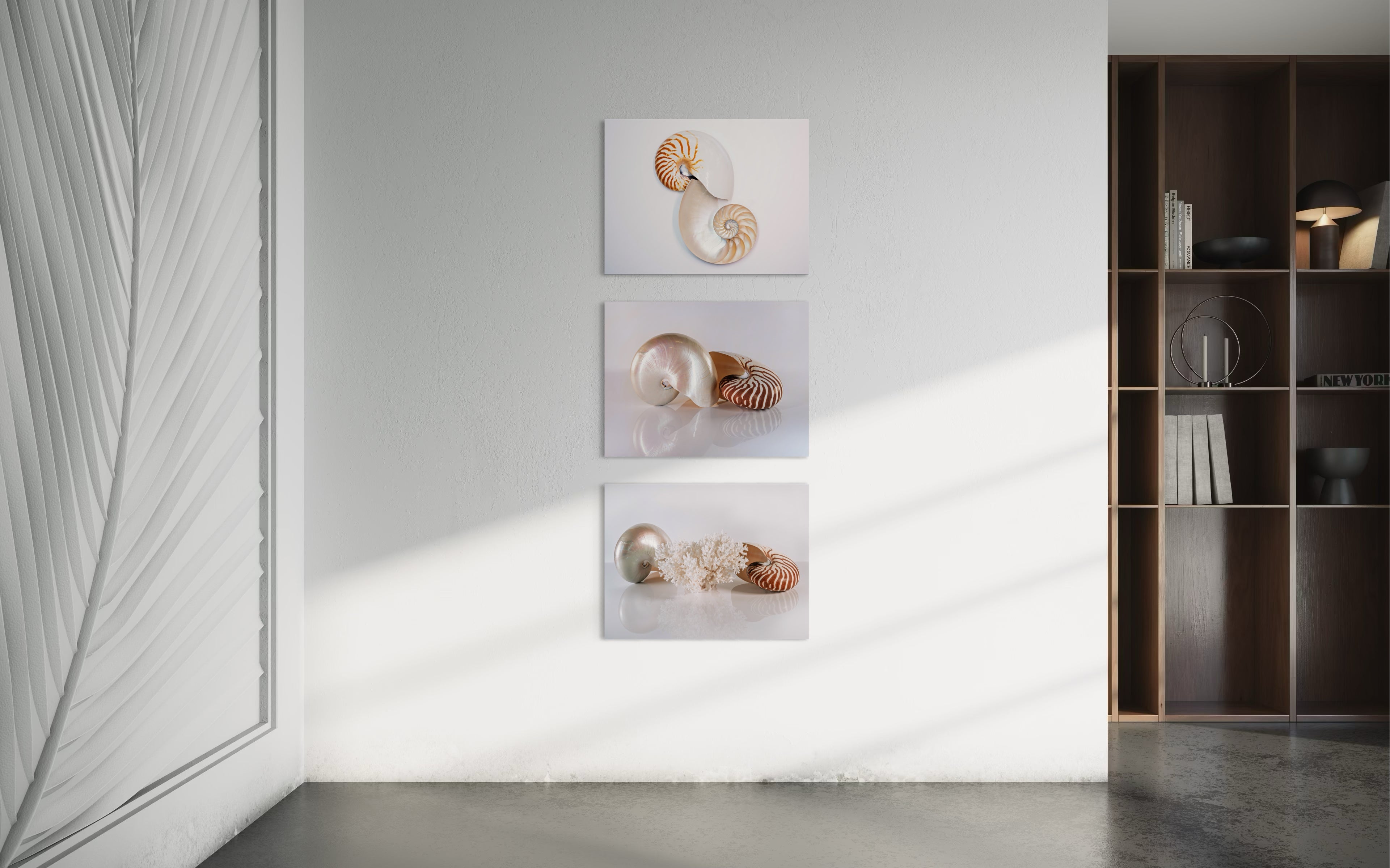 Fibonacci Nautilus Shell Coastal Glass Print by Echoes of the Sea, displayed with 2 other prints