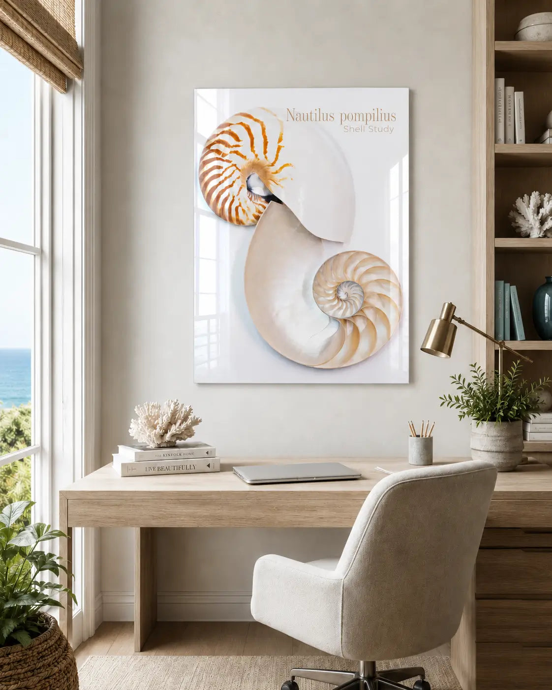 Nautilus shell glass print on a wall above a desk in a home office.