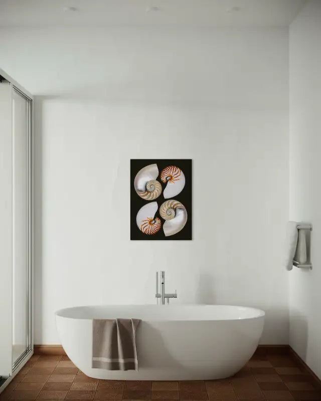 Four Nautilus Halves Glass Art - Coastal Wall Decor-modern bathroom decor