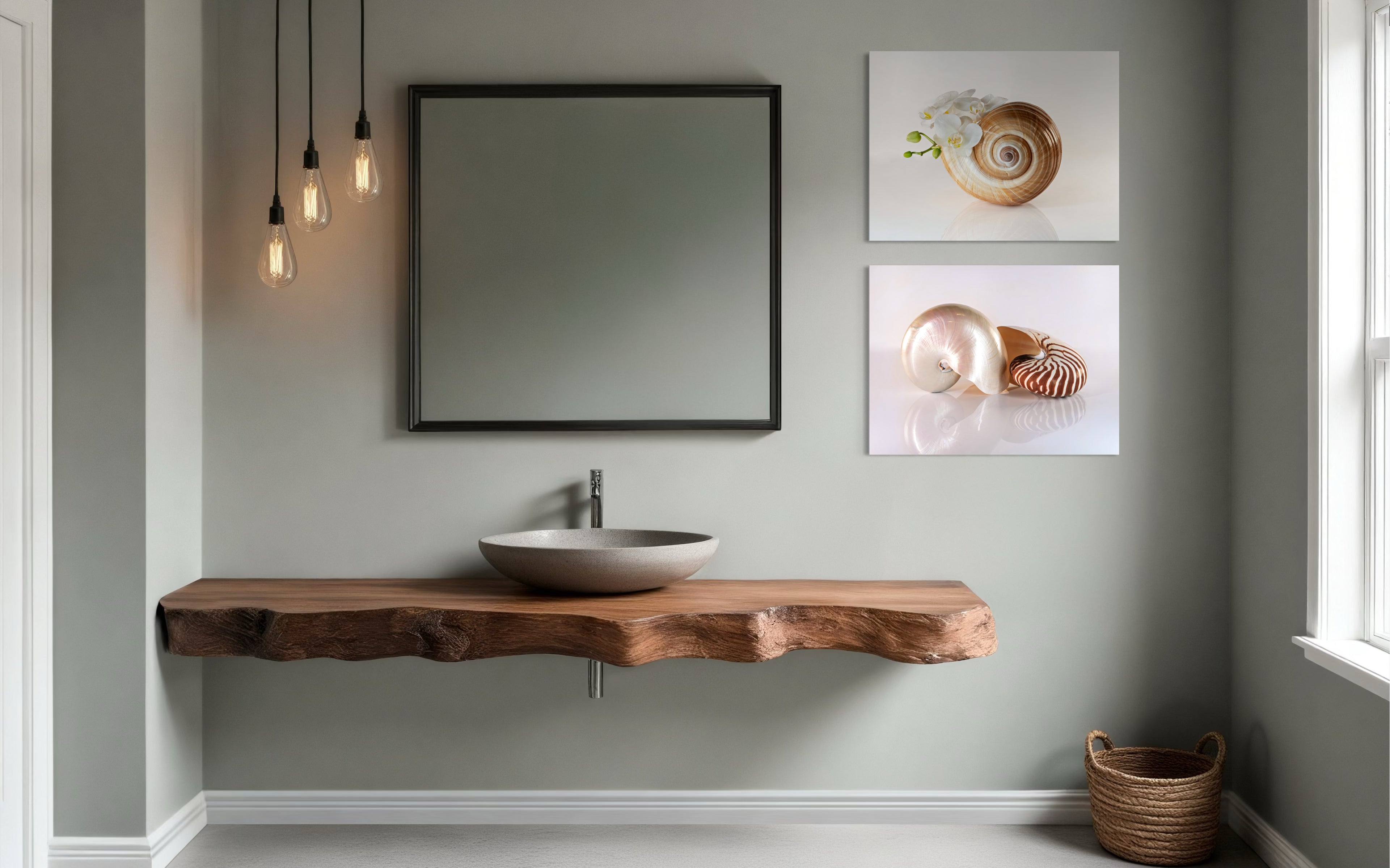 Tonna Galea seashell with orchids coastal glass print by Echoes of the Sea, botanical bathroom elegance