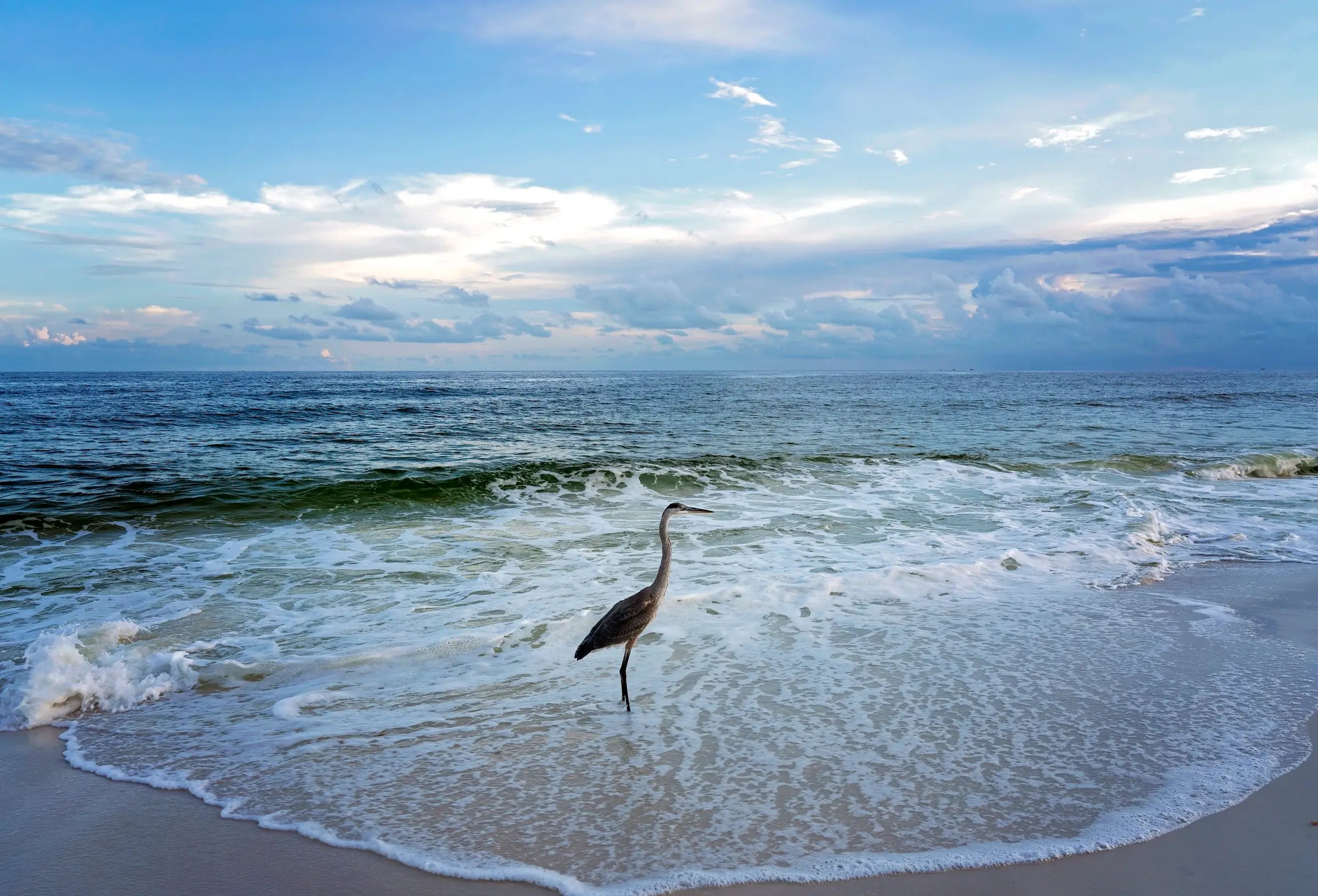Heron on shoreline under cloudy sky, coastal glass art