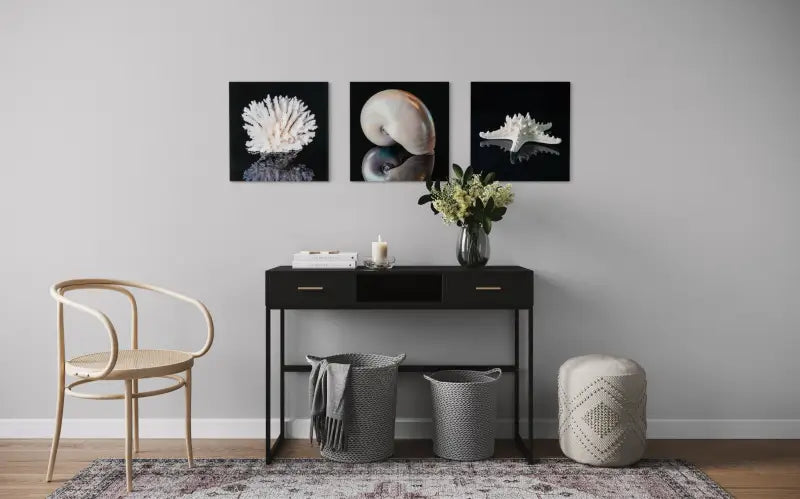 Knobby starfish on black background, coastal glass print for nautical decor - shown with 2 of our other Echo prints.