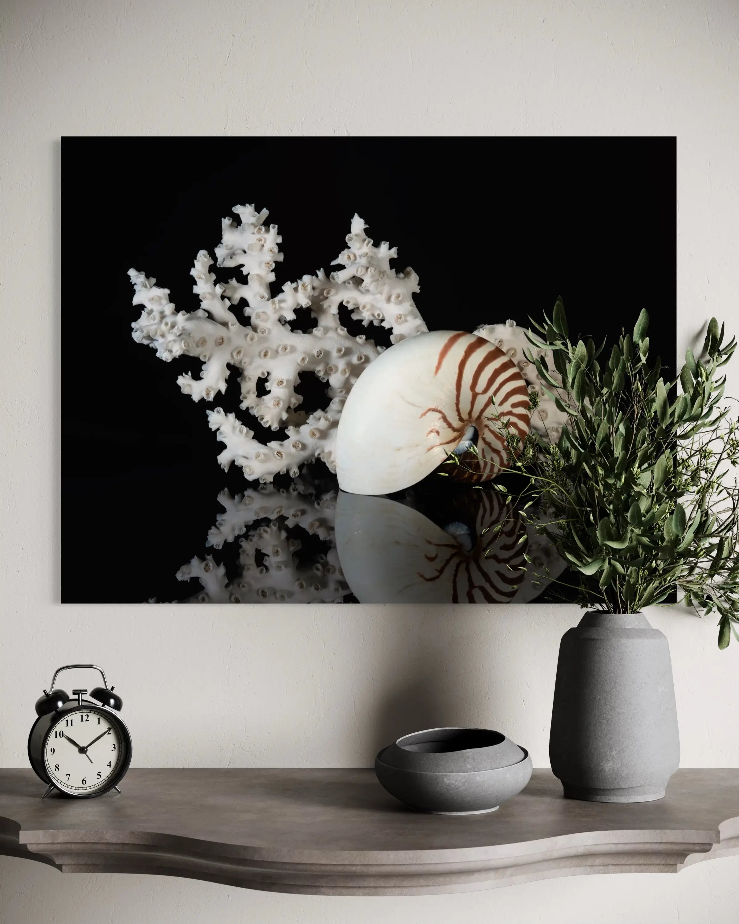 Nautilus shell and coral on black glass print, coastal wall art, above display shelf