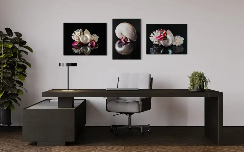 Nautilus shell and lilies on black reflective glass, Echoes art, coastal glass print wall gallery.