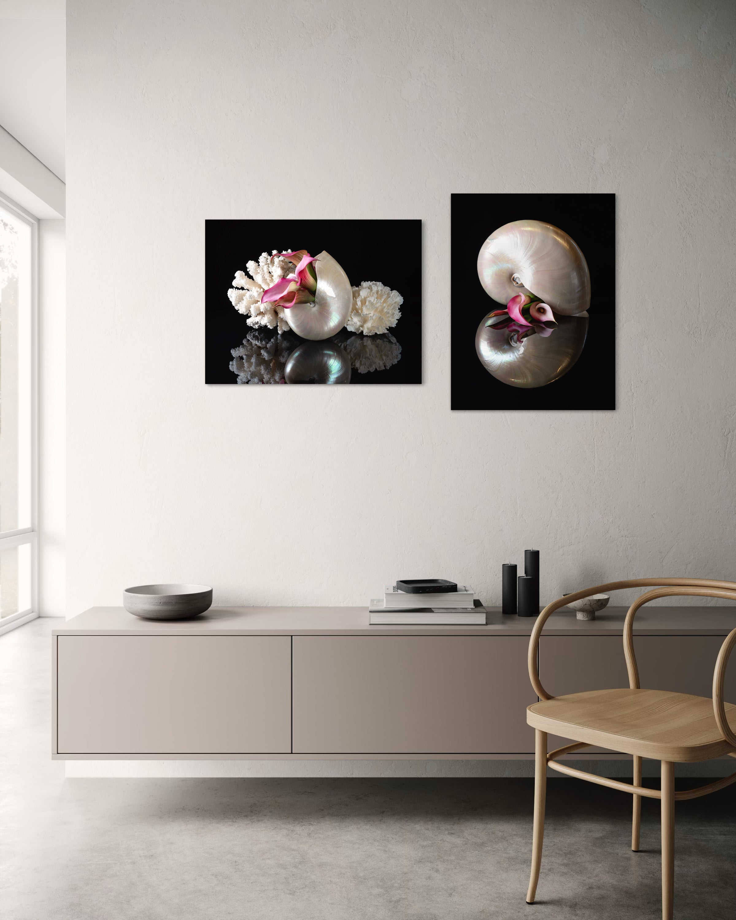 Nautilus shell and pink lilies on reflective glass, coastal wall art with another matching print