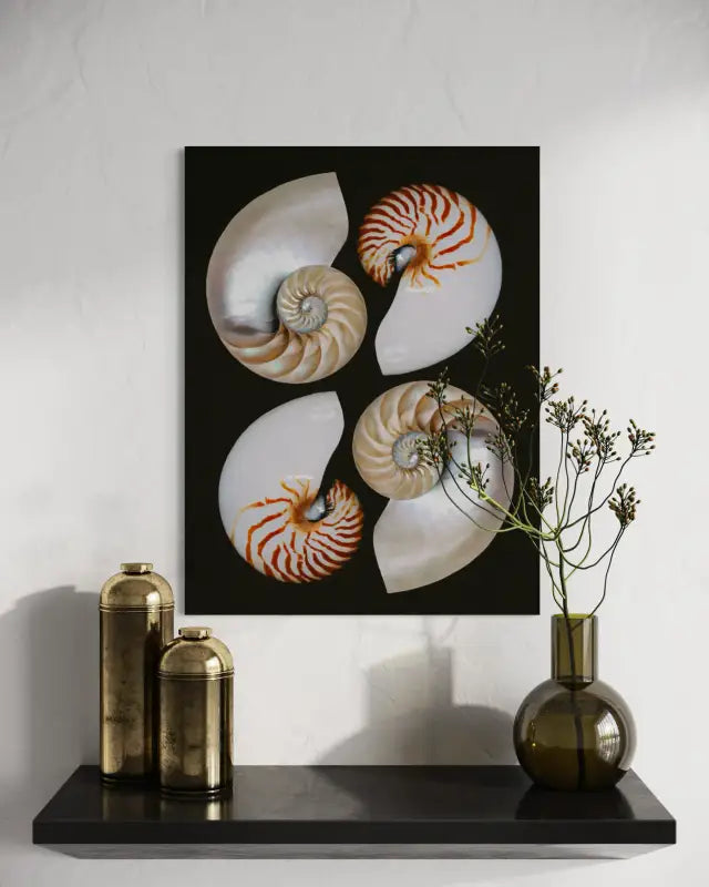 Four Nautilus Halves Coastal Glass Print by Echoes of the Sea- Coastal Wall Decor above a floating shelf.