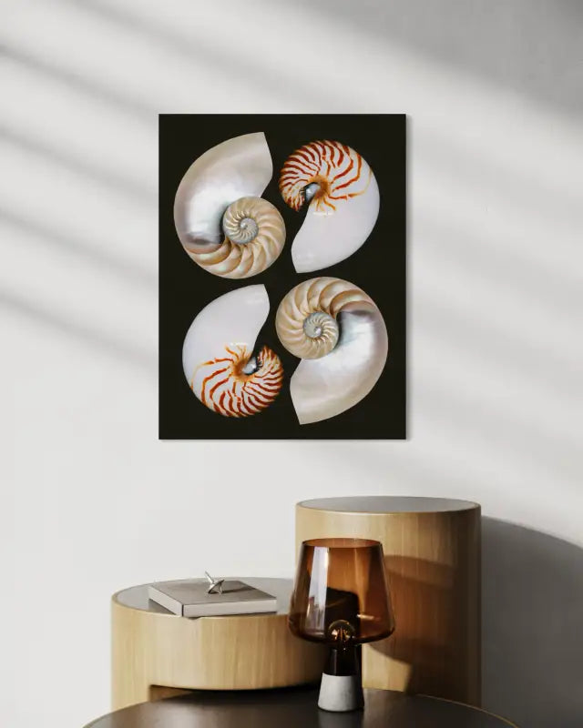 Four Nautilus Halves Coastal Glass Print by Echoes of the Sea-coastal wall decor